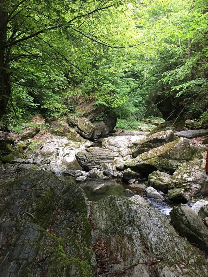 Ferienwohnung Raabklamm Arzberg المظهر الخارجي الصورة