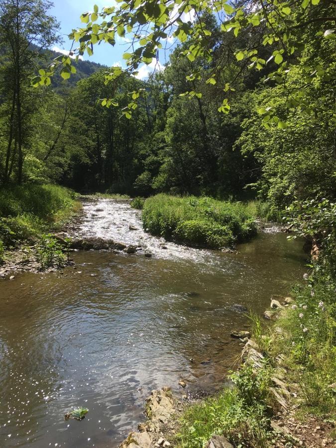 Ferienwohnung Raabklamm Arzberg المظهر الخارجي الصورة